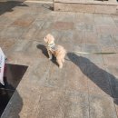 강남로1 | 여수 밤 바다 여행 기록