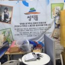 쌍지뜰