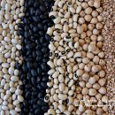 나팔꽃한의원 이미지