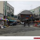 비엔나헤어비스