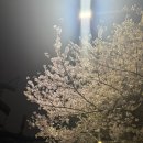 피아니스트 백건우 독주회 | 백건우 피아노 리사이틀 : 건반 위의 구도자가 들려준 완벽한 인생의 순환