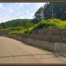 산청부동산공인중개사사무소 이미지