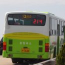 사파동214 이미지