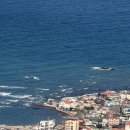 주식회사 제주알프스렌트카 | 대한항공 타고 떠난 제주 여행, 나룻배카약체험지점(규블리홀딩스) 솔직 후기