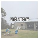 제주돗 | [제주] 흑돼지 맛집 제주돗/가족 모두 만족한 재방문 후기
