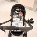 동읍149 | 호호의 22nd week 🐯💕