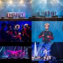 월드타이거즈 이미지