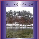 감자 바우 이미지