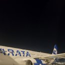 6501 | 파라타항공 WE6501 탑승 후기