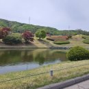 포천아도니스 C.C 이미지