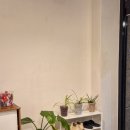 바른 애견 | 대전 용문역 근처 속눈썹펌 후기 | 애버그린뷰티