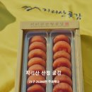 프리마트 이미지