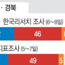 ‘부·울·경’ 이재명-김문수 오차범위 접전… ‘대구·경북’ 金 우위 속 李 선전﻿ 이미지