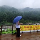 진짜 방학을 즐기는 나 (가평 당일치기, 강남 아디다스 유니폼 마킹)