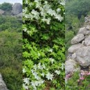 남산,동작골(외대) - 불광사 - 회룡선원 - 금정산성 3망루