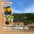 달달스테이 | [강원도/강릉] 강릉 만월산 용연사 템플스테이 후기｜사찰음식·연등 만들기 체험까지