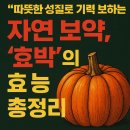 🎃 따뜻한 성질로 기력을 보하는 자연 보약, ‘호박’의 효능 총정리 이미지