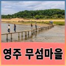 영주수도리김정규가옥 | [인생샷 성지] 영주 무섬마을 외나무 다리 &amp; 고택 400년 시간여행 코스