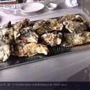 벚굴식당 이미지