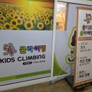 몽키즈클라이밍일산