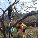 진영농장 이미지