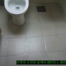 일성트루엘 이미지