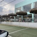 돌고래게임장 이미지