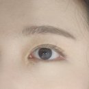 유비홀릭 이미지