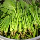 참살이식품(주) 이미지