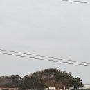 해솔바다낚시터 | 대부도 해솔바다낚시터