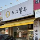 도그왈루 | 도그왈루 반려동물미용 후기｜강아지 위생미용·목욕🐾