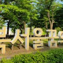숲속꿈의유치원 | 🍃서울 도심 속 힐링 명소 — 북서울꿈의숲 나들이 후기