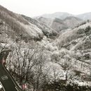 뮤지엄스테이 이미지