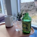 261 | 감성카페 , 방갈로까지 있는 예천카페 오디261 후기