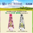 병곡초교 이미지