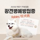 동물에반하다동물병원 | 광견병 예방접종 및 광견병 증상 알아보아요~