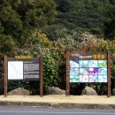 영천동 법호촌 이미지