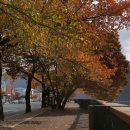 성원한정식 이미지