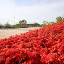 종합운동장 국민체육센터 2(지상1층) 이미지