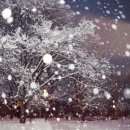 온누리약국 이미지