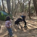 태화새들마을협동조합 | 울산숲놀이 쑥쑥반 124번째 만남 - 26. 1. 11.