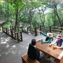 거창 항노화 힐링랜드 이미지