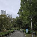 재미난밭 | 원위° 경기기후콘서트 (광교호수공원 재미난밭)공연 후기