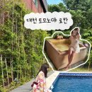 대천 | 한국에서 즐기는 일본료칸 히노끼탕 대천 토모노야 내돈내산 후기