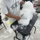 희망애견샵 이미지