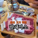 [김포 고기 맛집] 밤새먹소 (주차정보, 후기)