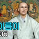 부처님의 이름이 다양해진 이유와 의미 | 원영스님의 불교대백과 이미지