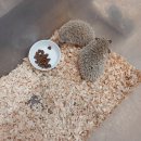 도봉-도봉-서울도봉-2286 이미지