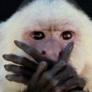 경기도 수원시 장안구 정조로1110번길 이미지