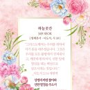 샬롬교육연구소 이미지